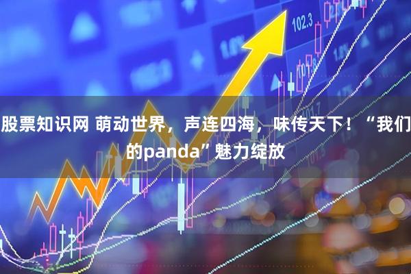 股票知识网 萌动世界，声连四海，味传天下！“我们的panda”魅力绽放