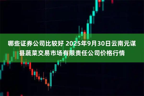 哪些证券公司比较好 2025年9月30日云南元谋县蔬菜交易市场有限责任公司价格行情